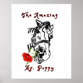 FANTASTISK HERR. POPPY POSTER