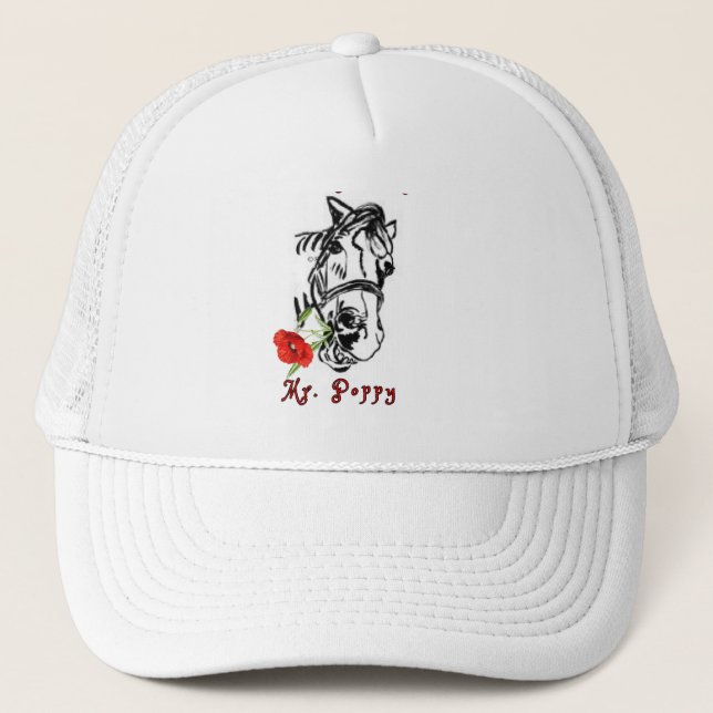 FANTASTISK HERR. POPPY-TRUCKERKEPS KEPS (Framsida)