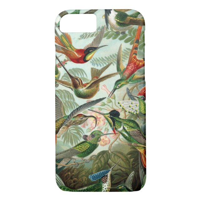 Fantastisk hummingbird Image av Ernst Haeckel Case-Mate iPhone Skal (Baksida)