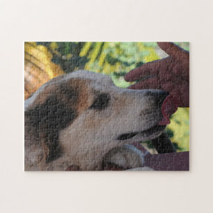 Fantastisk Hund - spela med sin ägare Fotopussel