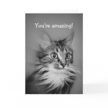 Fantastisk katt med Nacke Ruff Grattis på födelsed