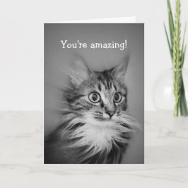 Fantastisk katt med Nacke Ruff Grattis på födelsed Kort