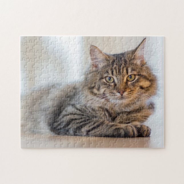 Fantastisk kattstensning på ditt pussel (Horisontell)