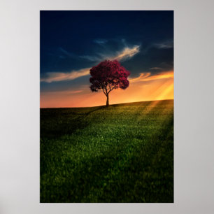 Fantastisk landskap med Röd Träd vid solnedgång Poster