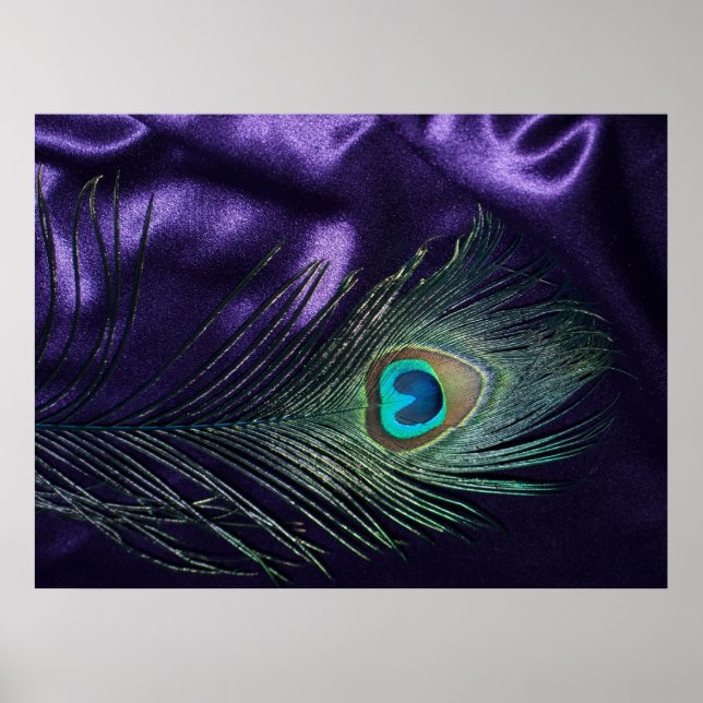 Fantastisk Lila Peacock Feather Poster (Framsidan)
