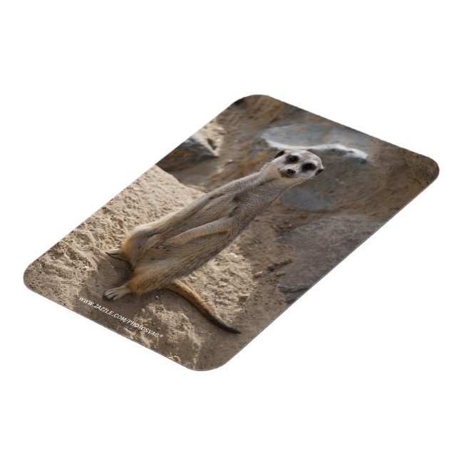 Fantastisk Meerkat Magnet (Vänstra Sidan)