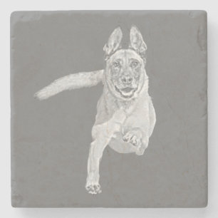 Fantastisk Pencil belgisk Malinois Marble Underläg Stenunderlägg
