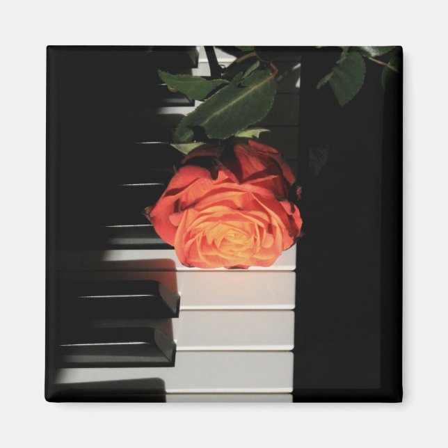 Fantastisk Piano Artwork Magnet (Framsidan)