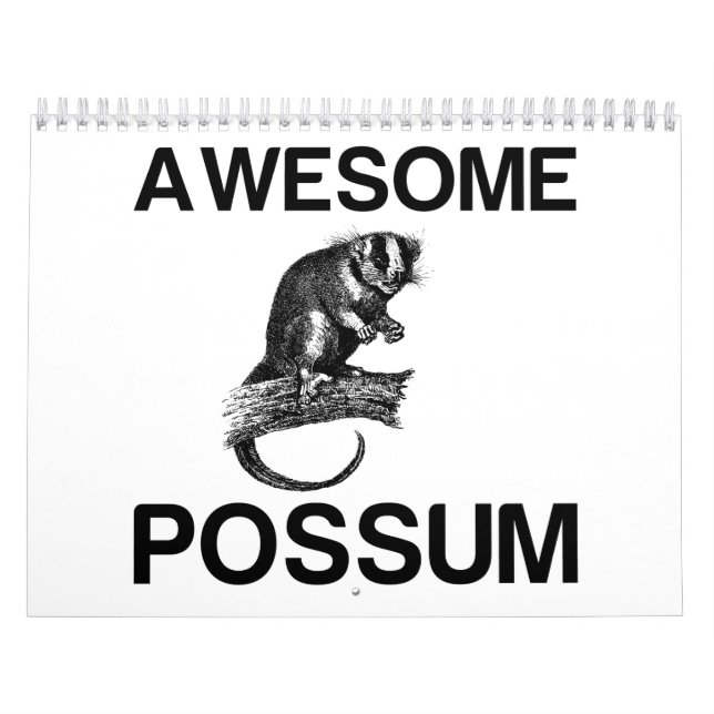 FANTASTISK POSSUM KALENDER (Omslag)