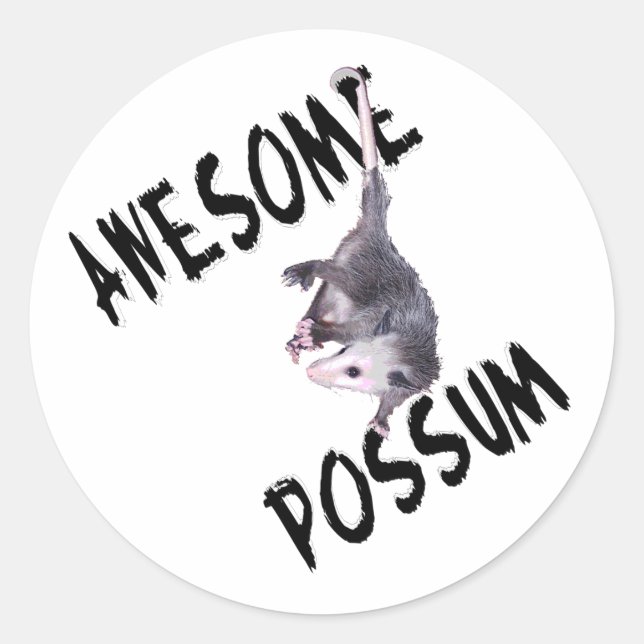 Fantastisk Possum Opossum Runt Klistermärke (Framsida)