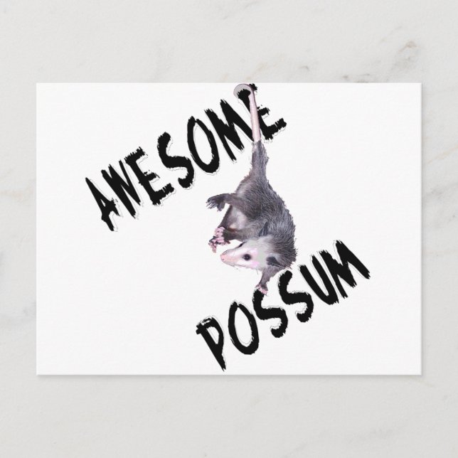 Fantastisk Possum Opossum Vykort (Framsida)