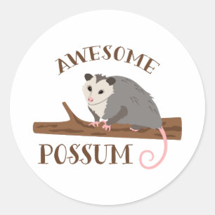 Fantastisk Possum Runt Klistermärke