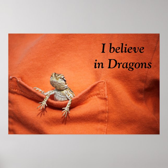 fantastisk poster för reptil/skäggig drake fläkt (Framsidan)