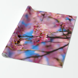 Fantastisk Rosa Sakura och Blå himmel Presentpapper