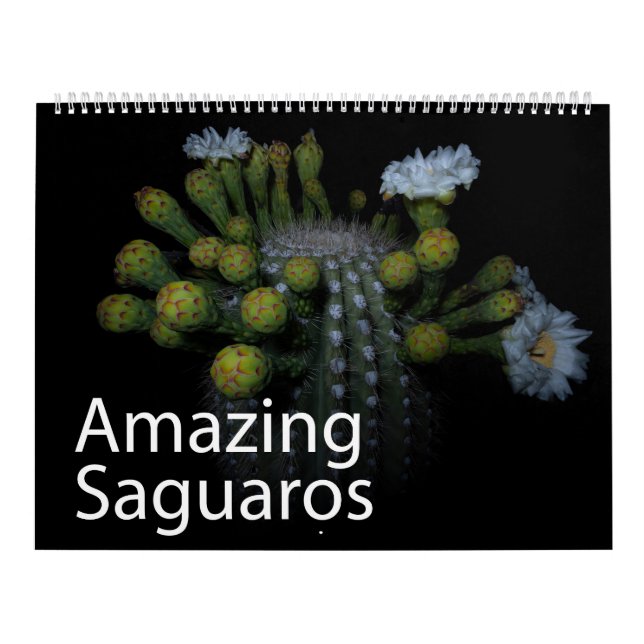 Fantastisk Saguaros Calendar Kalender (Omslag)