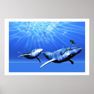 FANTASTISK SKRIFT POSTER