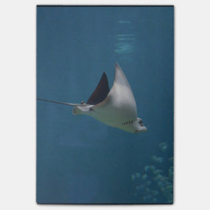 Fantastisk Stingray Post-it Block