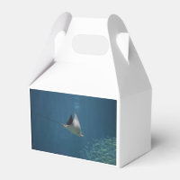 Fantastisk Stingray