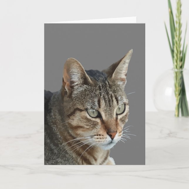 Fantastisk Tabby Katt Närbild Porträtt Vektor Kort (Framsida)