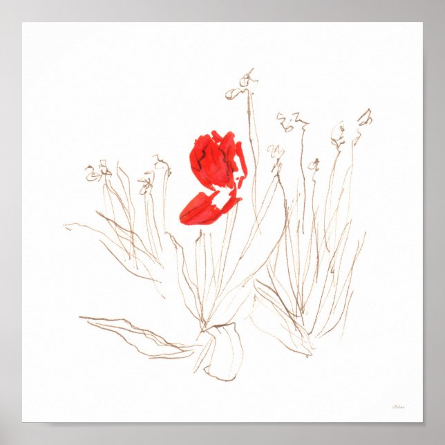 Fantastisk tulpanbildning i vinden och regn poster (Framsidan)