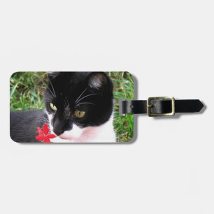 Fantastisk Tuxedo Cat in Garden Bagagebricka