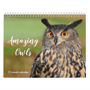 Fantastisk Uggla 2026 Kalender