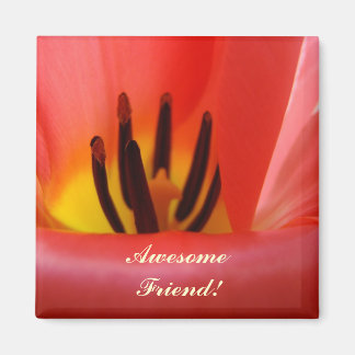 Fantastisk vän! magnet Röd Tulpan Blomma