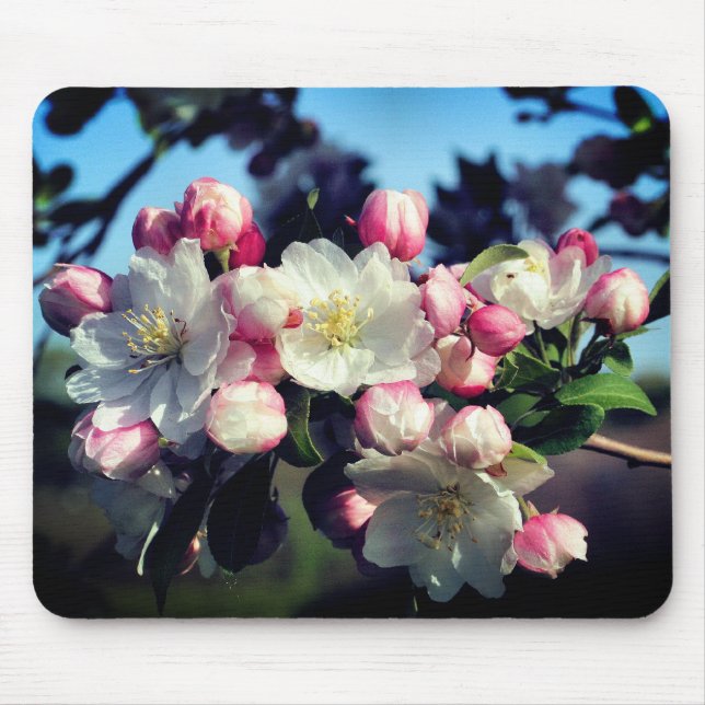 Fantastisk Vår Blommar Flower Musmatta (Framsidan)