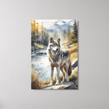 Fantastisk Varg Någonstans i Vacker Natur