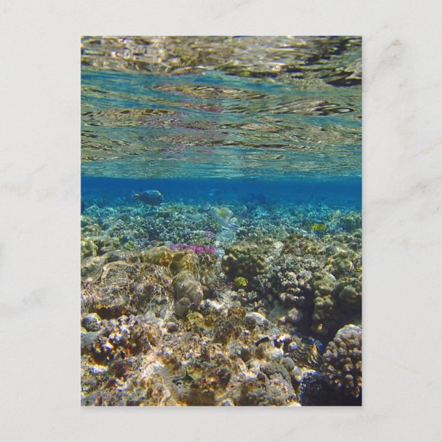 fantastisk vykort (Framsida)