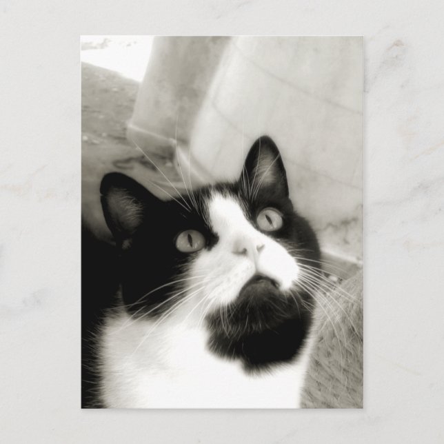 Fantastisk Vykort (Framsida)