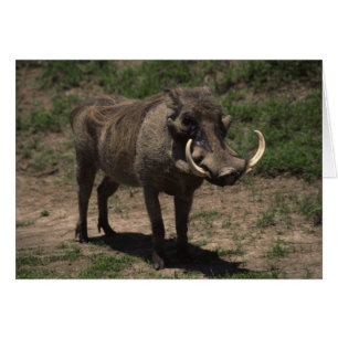 Fantastisk Warthog Hälsningskort