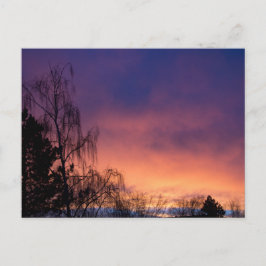 Fantastisk Winter Dawn Vykort
