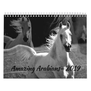 Fantastiska Araber en kalender 2019
