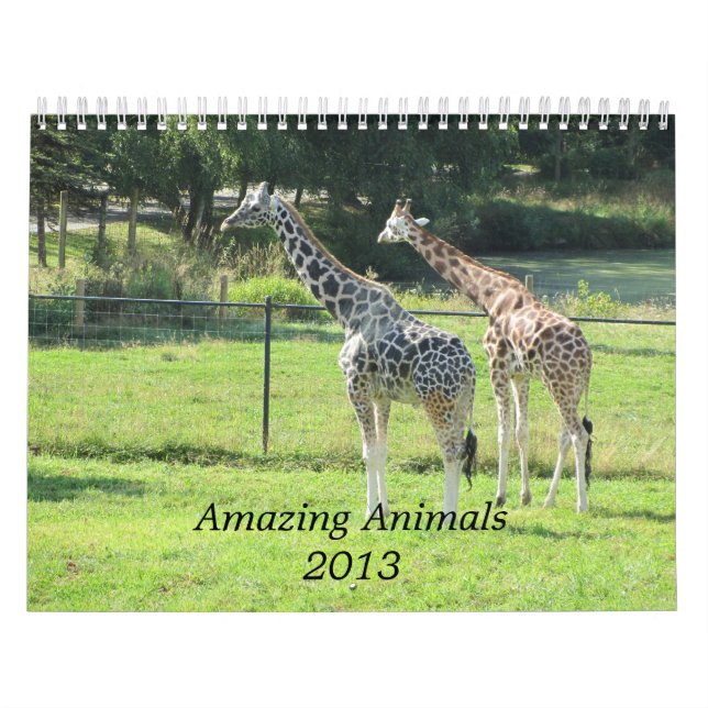 Fantastiska Djur 2013 Kalender (Omslag)