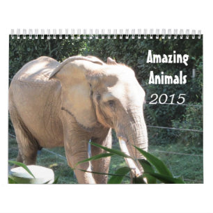 Fantastiska Djur 2015 Kalender