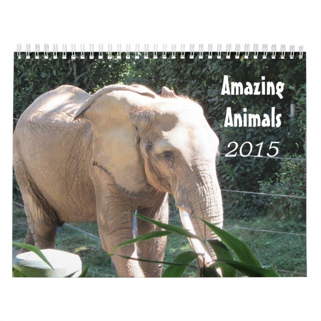 Fantastiska Djur 2015 Kalender (Omslag)
