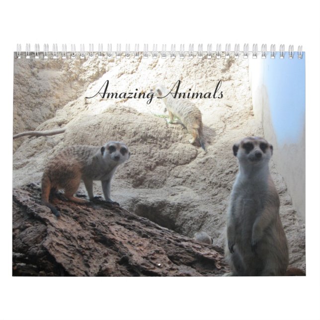 Fantastiska Djur Kalender (Omslag)