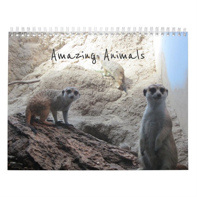 Fantastiska Djur Kalender (Omslag)