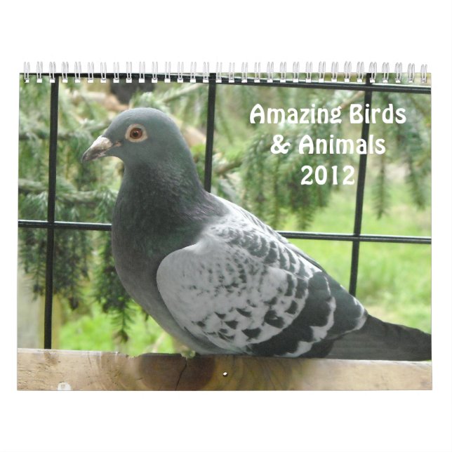 Fantastiska fåglar och djur 2012 kalender (Omslag)