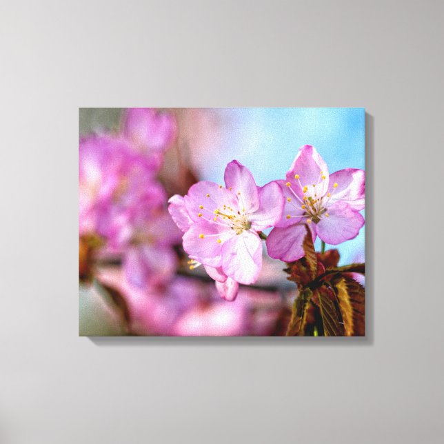 Fantastiska och häpnadsväckande Sakura-blommor på  Canvastryck (Framsida)