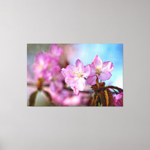 Fantastiska och häpnadsväckande Sakura-blommor på  Canvastryck