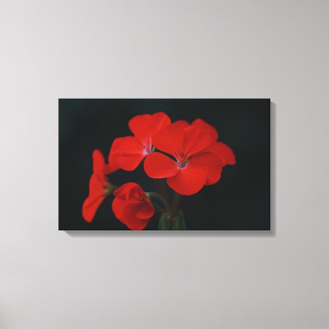 Fantastiska röda blommor sträckt canvastryck (Framsida)