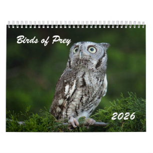 Fantastiska Rovfåglar 2026 foto kalender