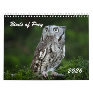 Fantastiska Rovfåglar 2026 foto kalender