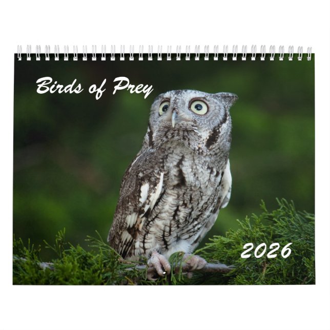 Fantastiska Rovfåglar 2026 foto kalender (Omslag)