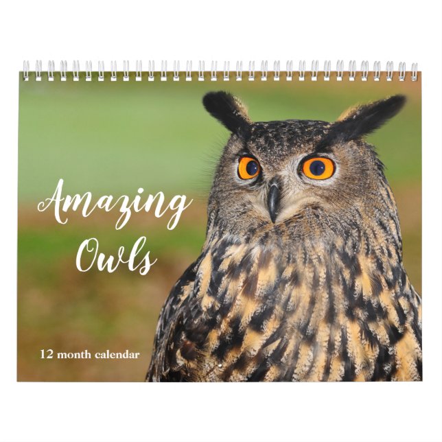Fantastiska Ugglor 2027 Kalender (Omslag)