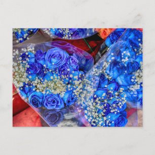 Fantastiskt Blue Ro Photo Vykort
