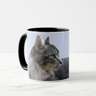 Fantastiskt infångat katt mugg