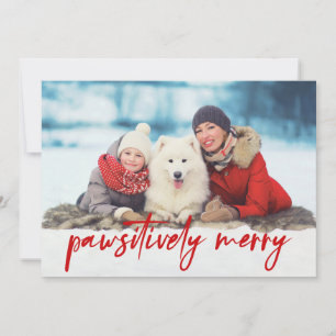 Fantastiskt merry 3 Photo Pet Julkort